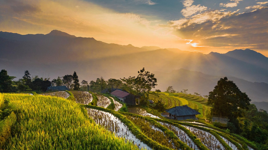 woman happy free nature sunrise